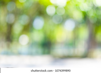 Green bokeh out of focus background from nature forest - Shutterstock ID 1074399890