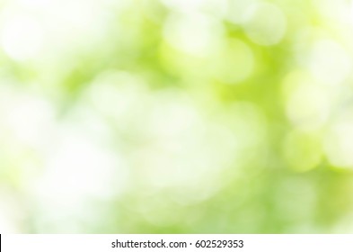 Green bokeh out of focus background from nature forest - Powered by Shutterstock