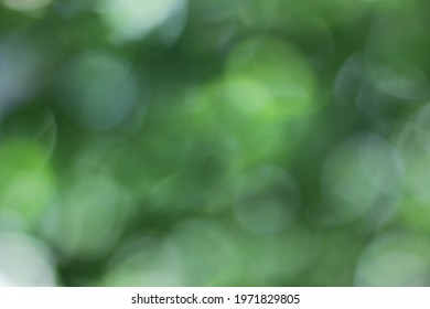 Green Bokeh Round Blue Sky Unclear Background