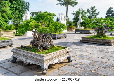 Green Bonsai trees growing at courtyard of the Linh Ung Pagoda in Danang (Da Nang), Vietnam. Da Nang is a popular tourist destination of Asia.