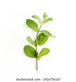 Green Branch And Leaf Mint Isolated On White Background. Set Of Peppermint. Mint Pattern. Flat Lay. Top View.