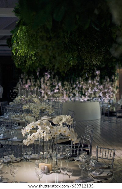 Green Branches Hang Ceiling Over Dinner Stock Photo Edit