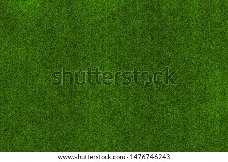 Green bright fresh background, reminiscent of the natural organic texture of moss or grass on top