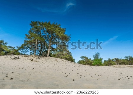 Similar – Beach at the Polish Baltic Sea coast