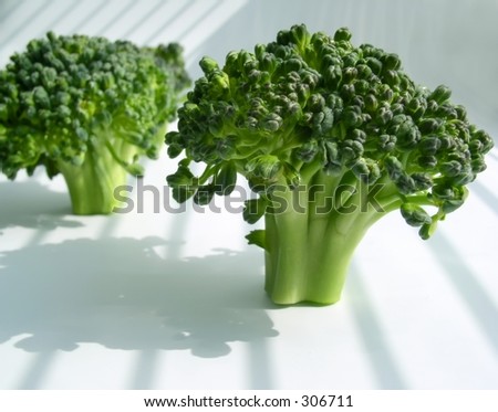 green broccoli tree