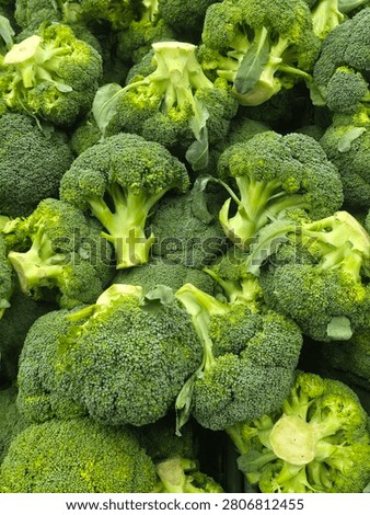 Green broccoli vegetable background with fresh nuances 