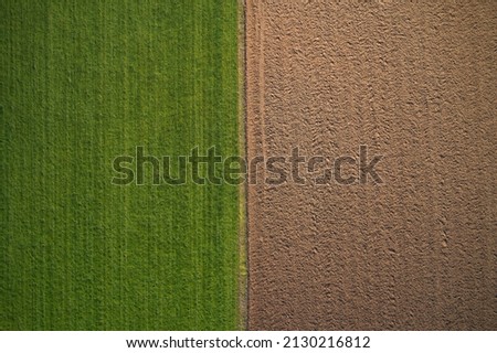 Green and brown drone view background. Green fresh grass borders brown earth at high altitude top view. Aerial view of a grass plantation. Grass meadows top view.