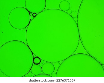 green bubbles circle round light