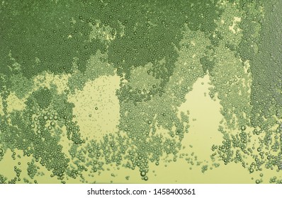 Green bubbles and foam in the water - Shutterstock ID 1458400361