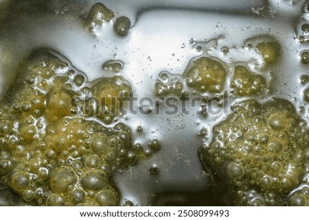 Green bubbles slimy algae floating on the surface of the water  