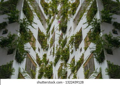 Green building architecture background. Building with green plants in windows. Sustainable, green architecture Stock Photo