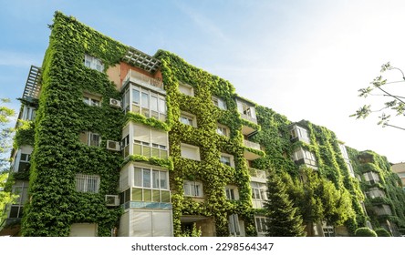 Green building with plants growing on the facade. Ecology and green living in city. Eco-building covered with ivy (green wall or bio-wall). Ecological vertical forest.