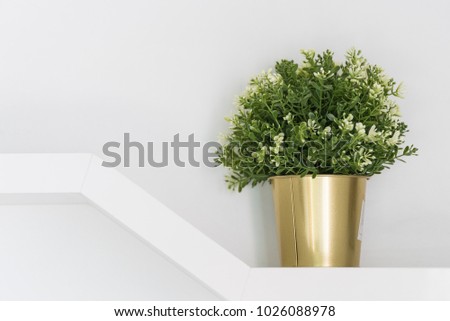 



The green bush is in a gold tin on a white modern floor.
