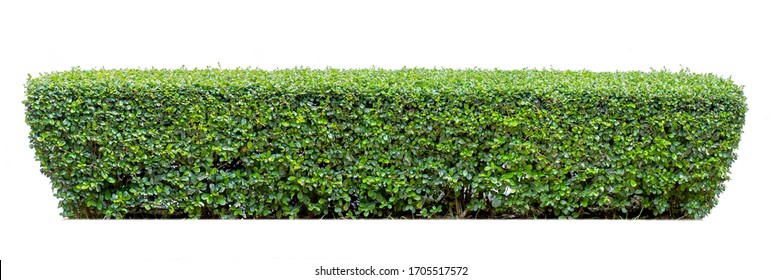 垣根 High Res Stock Images Shutterstock 垣根 High Res Stock Images Shutterstock