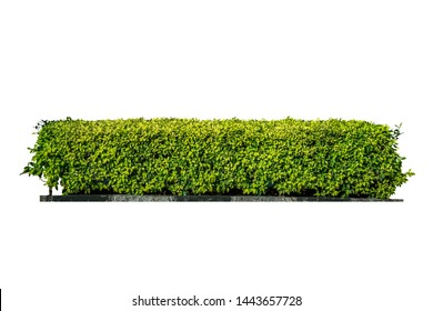 垣根 の画像 写真素材 ベクター画像 Shutterstock