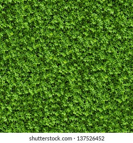 Green Bush. Seamless Tileable Texture.