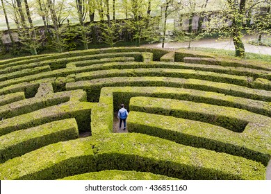 Green bushes labyrinth, hedge maze. A young boy with blue jacket searches the exit. - Shutterstock ID 436851160