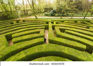 Green bushes labyrinth, hedge maze. A young man with blue jacket searches the exit. - Shutterstock ID 455019370