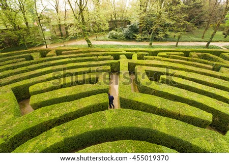 Green bushes labyrinth, hedge maze. A young man with blue jacket searches the exit.