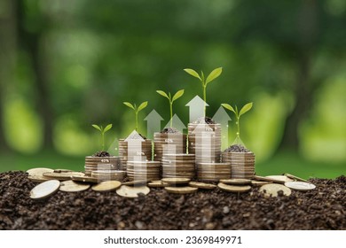 Green business growth or green investment and Finance sustainable development concept. Stack of silver coins the seedlings are growing on top with arrow of growth. Carbon credit, ESG, co2, green tax.