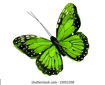 A Green Butterfly Isolated On White