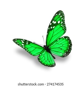 Green Butterfly Isolated On White Background