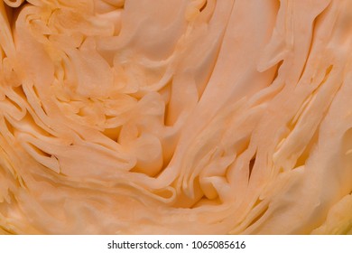 green cabbage inside texture micro 