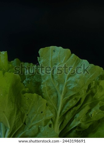 Similar – Image, Stock Photo Fresh leaf salad on a board with text space on the left