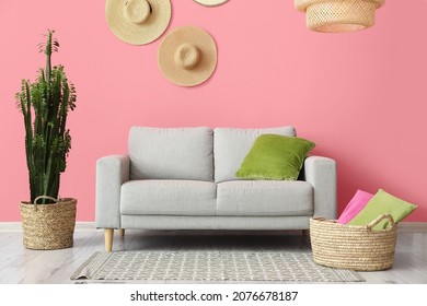 Green Cactus And Grey Sofa Near Pink Wall