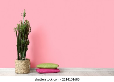 Green Cactus And Pillows Near Pink Wall