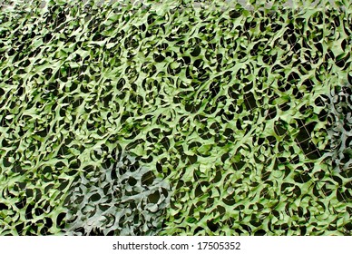 Green Camouflage Net Background