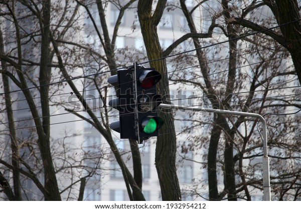 green car\
traffic light on the background of\
trees