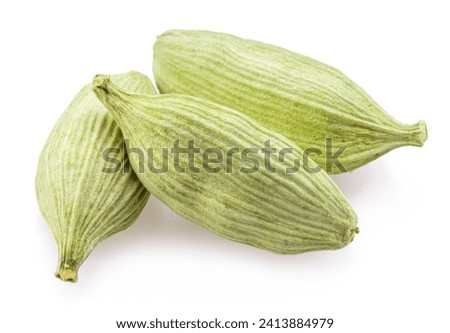 Green cardamom pods isolated on white background. 
