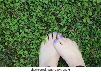 Crock Feet Images, Stock Photos 