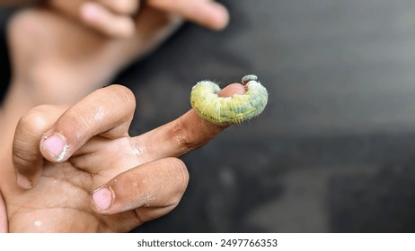 green caterpillar on child's fingertip. with a blurred background. - Powered by Shutterstock