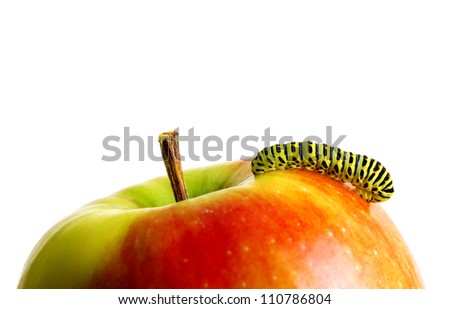 Green caterpillar on red apple.