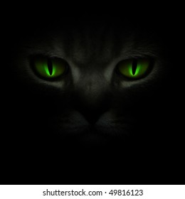 Green cat's eyes glowing in the dark