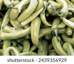 Green chiles placed close together produce heat and freshness. Their shining skins add flavor and spice to every dish they finish hinting at the spicy bite they hold.