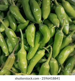 Green chilli available in thatha Sadiq abad, Multan, Pakistan,asia. Top view of green chilli. Green chilli top view with great taste.
