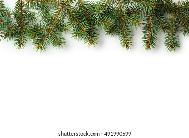 Green Christmas Fir Tree Branches Isolated On White Background.