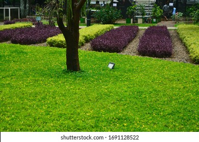芝生 の画像 写真素材 ベクター画像 Shutterstock
