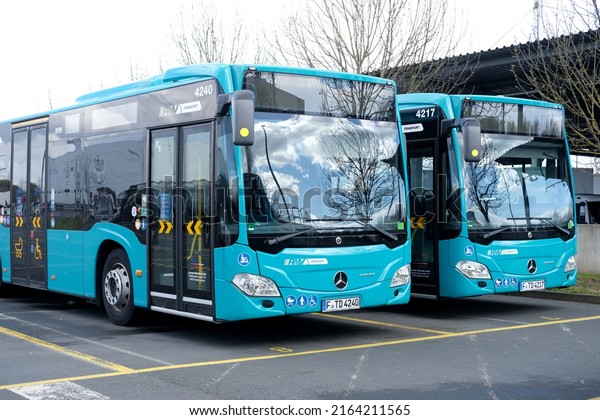 Green city shuttle buses stand in a row at the\
bus station, Germany public transport concept, transport companies\
strike, Frankfurt - March\
2022