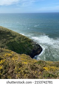 Green Cliffs Line The Oregon Coast As Waves Crash Against The Rocks. The Ocean Is Blue And So Is The Sky. Wildflowers Bloom On The Cliffside Aswell.