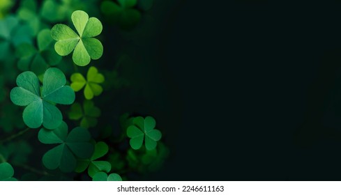 Green clover leaf isolated on dark background. with three-leaved shamrocks. St. Patrick's day holiday symbol. - Shutterstock ID 2246611163