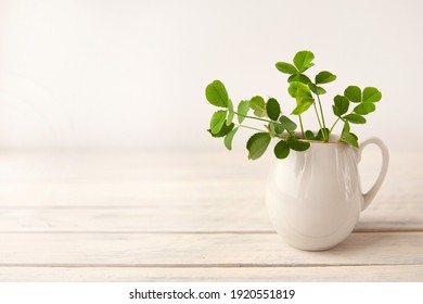 green clover leaves in a white jug on a white wooden background
