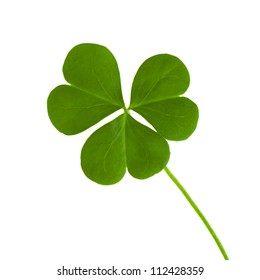green clover symbol of a St Patrick day isolated on white background - Shutterstock ID 112428359
