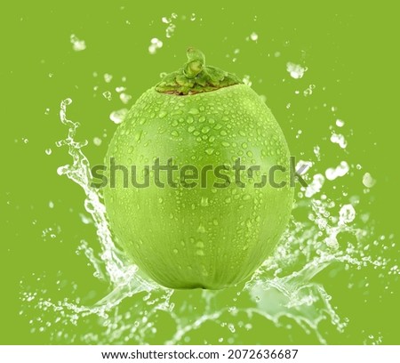 Green coconut with drops of water isolated on Green background.