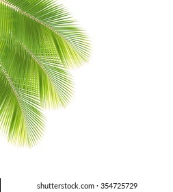 Coconut Tree Corner Images Stock Photos Vectors Shutterstock