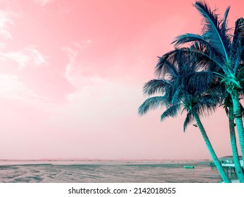 Green coconut palm trees on summer colorful pink sky and sea with copy space. Beautiful tropical seascape background minimal style.