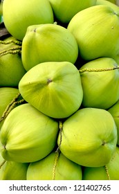 Green Coconut At Tree